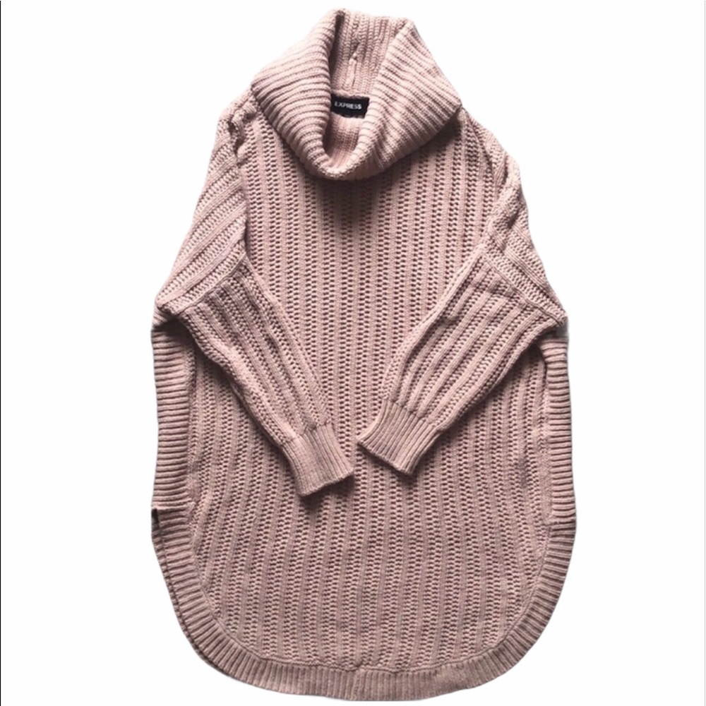 Express Turtleneck Sweater